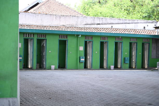 Best Local porta potty services  in Timberline Fernwood, AZ